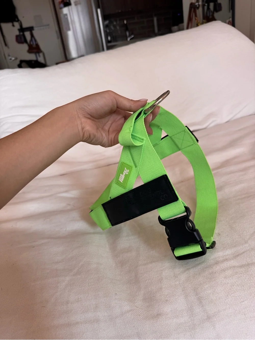 Neon Green No-Pull Dog Harness with D Ring